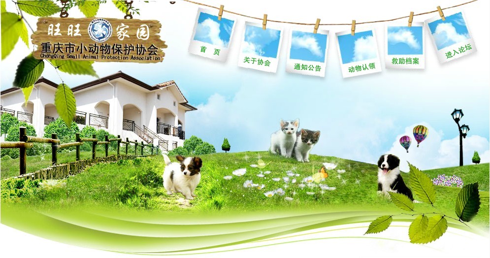 重慶小動(dòng)物保護(hù)協(xié)會(huì)